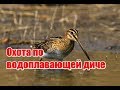 Охота по водоплавающей диче | Выпуск №122 (UKR)