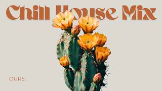 Soft Desert Bloom | Minimal House for Deep Work screenshot 3