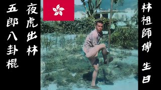 林祖師傅 生日 1999 🇭🇰 舞獅 - 夜虎出林 - 五郎八卦棍 Wong Lei Family Hung Boxing