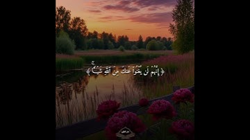 ثُمَّ جَعَلۡنَـٰكَ عَلَىٰ شَرِیعَةࣲ || تلاوة عذبة لفضيلة الشيخ ياسر الدوسري #دار_المتقين #quran 🤍