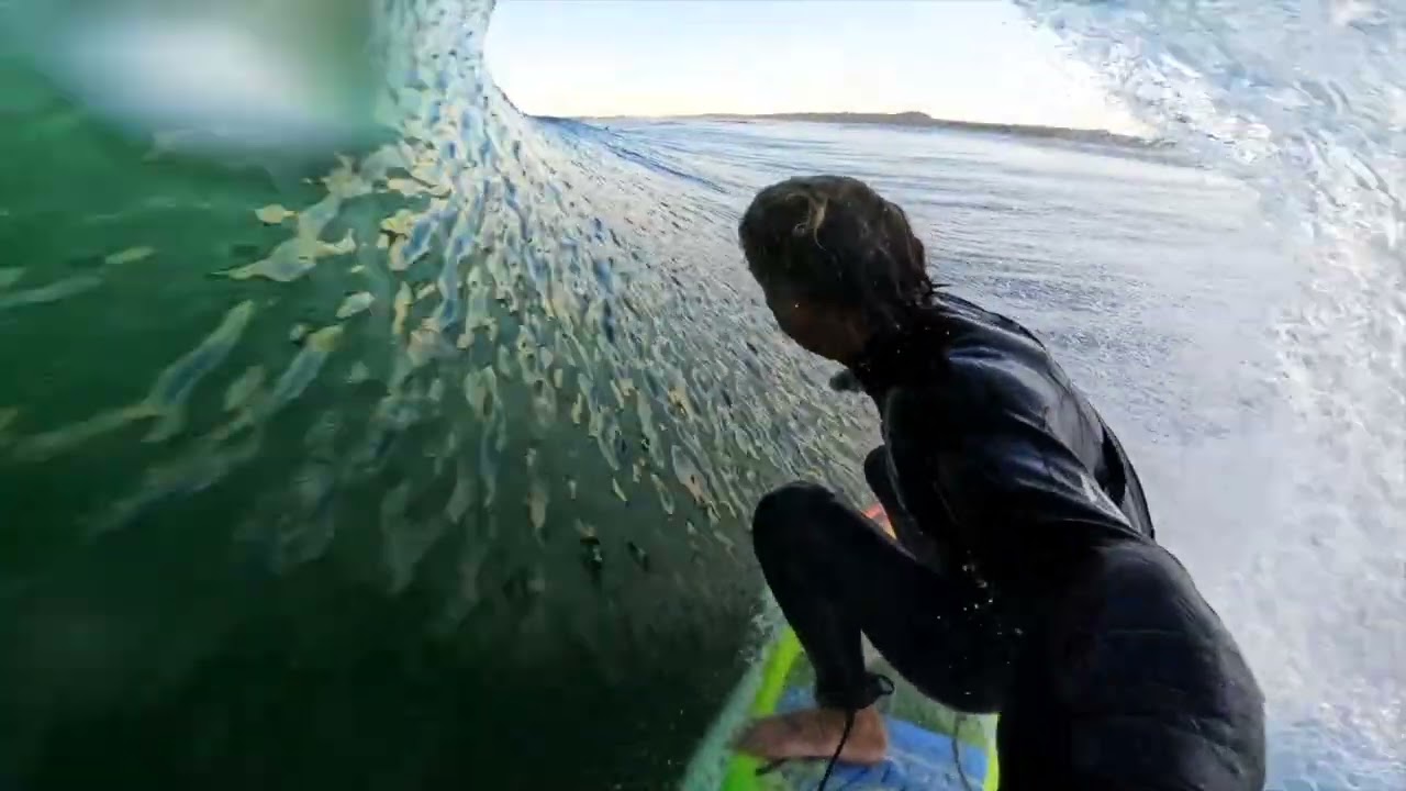 the late bird catches the wormhole