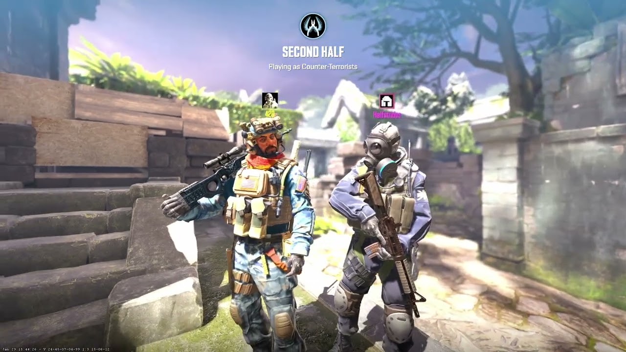 CS2 w/gold nova and silver elite