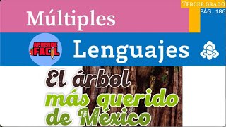 "Mexico's Most Beloved Tree" 3rd Grade Multiple Languages ​​(Audiobook) (New Books)