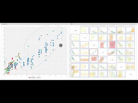 Video to my EuroVis 2018 Paper "Interactive Visual Exploration of Local Patterns in Large SPLOM"