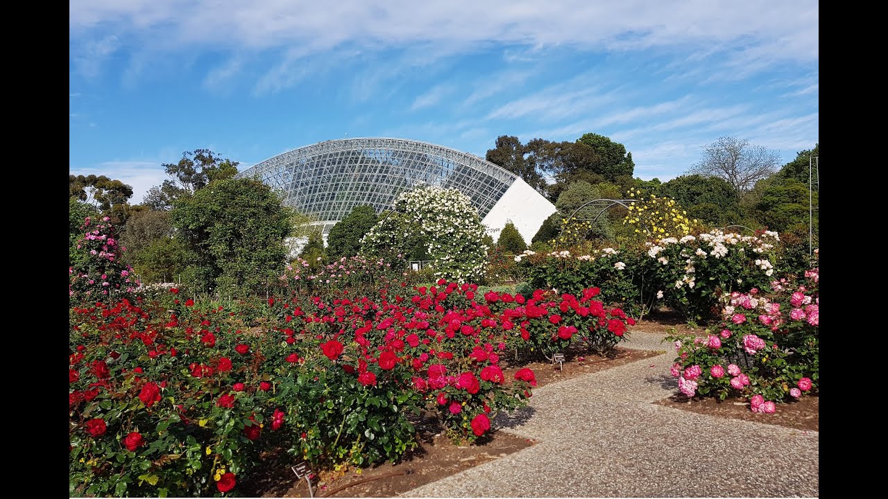 Flower Garden Adelaide Fasci Garden