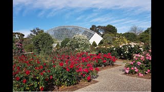 International Rose Garden