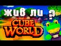 ЕСТЬ ЛИ БУДУЩЕЕ У CUBE WORLD?