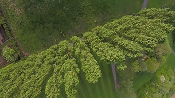 Gopro Session 5 fpv test