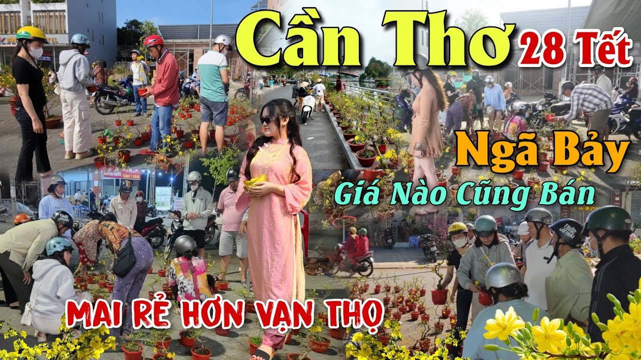 XỔ RẺ CHỢ HOA TẾT NGÃ BẢY CẦN THƠ 2026 