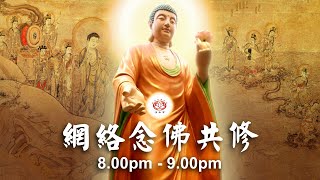 【同步】净土宗网络念佛【第1757天】+ 开示视频《不吃亏》 08-01-2025 Online Recitation Session（晚上8pm-9pm (GMT+8))【打开CC字幕】