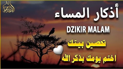 اذكار المساء   راحة وسكينة لقلبك   تحصن بيتك وأهلك   Dzikir Malam   Evening azkar By Alaa Aqel