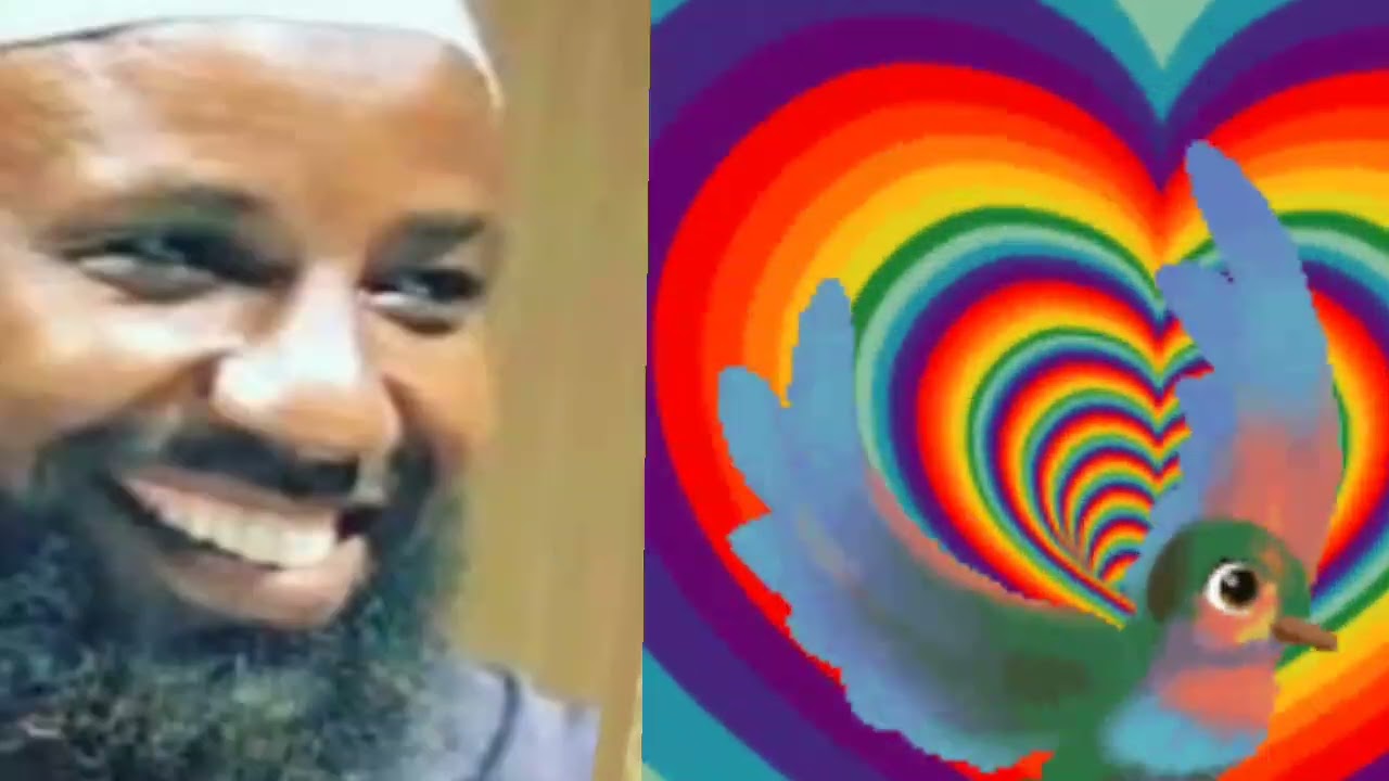 JAAFAR BINU ABI XAALIB SHEIkh Amin ibro 