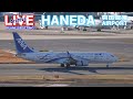 【LIVE】 24/12/16 羽田空港 T1 HANEDA AIRPORT plane spotting