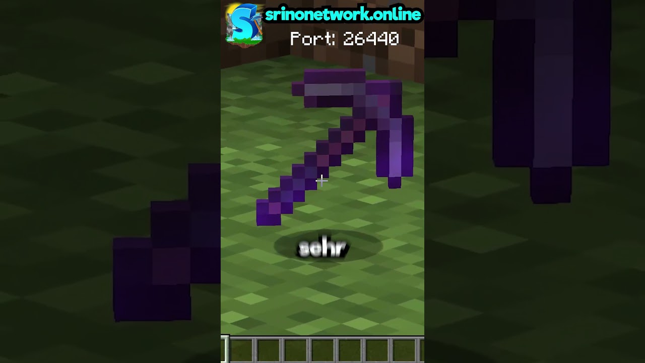 Die unbekannte Methode um auf meinem Minecraft Server Reich zu werden