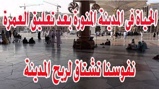 شاهد فيديو الاوضاع فى المدينة المنورة بعد قرار تعليق العمرة  (يارب أرفع الغمة عن الامة)