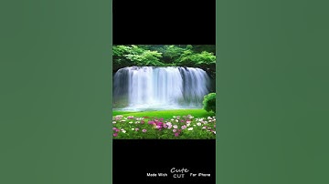 وَقَالَ الٓذِي آمَنَ يَا قَوْمِ اتَّبِعُونِ أهْدِكُمْ سَبِيلَ الرَّشَادِ القارئ الشيخ  طارق طواشي