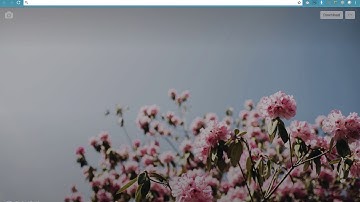 Signer - How to create cloud convert api key