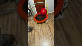 #Bro#Bounced￼#the#Ball ￼