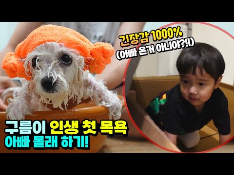 구름이 인생 처음 <strong>목욕</strong> <strong>아빠</strong> 몰래 해야 하는 이유? 물건 너무 많이 사서 미안 ㅋㅋㅋ 국민이 강아지 택배 개봉기 아이랑 흔한 가족 일상 11번가 아마존 | 말이야와친구들