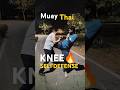 Muay Thai knee #muaythai #sports #india#youtubeshorts #usa #traning #mma #yt #shortsvideo #tutorial