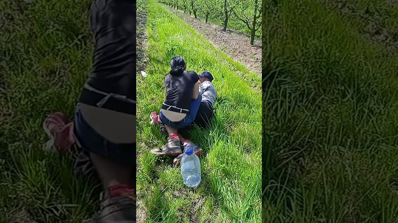 Узбекские запали
