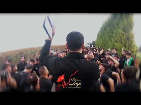 جزع عند حرم السيدة صفية بنت اين لبنان كربلائي يوسف الصوفان