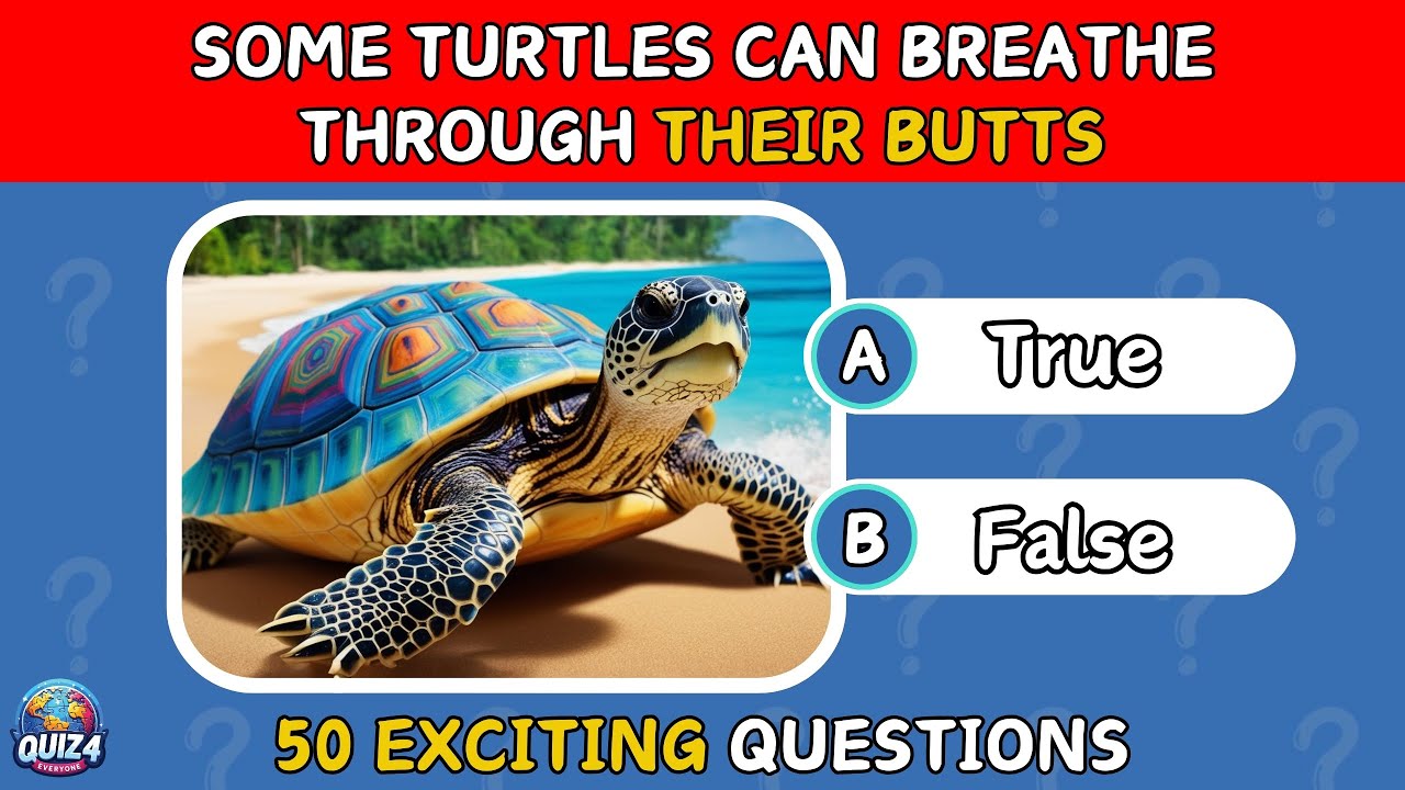 True or False Quiz ✅❌ | Can You Get Them All Right?