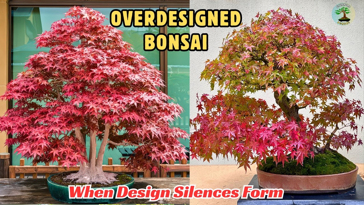Overdesigned: When Bonsai Lose Their Voice in Design