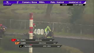 Vidéo de la course PMU PRIX HIRMITA