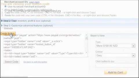 Using Paypal Shopping Cart.wmv.mp4