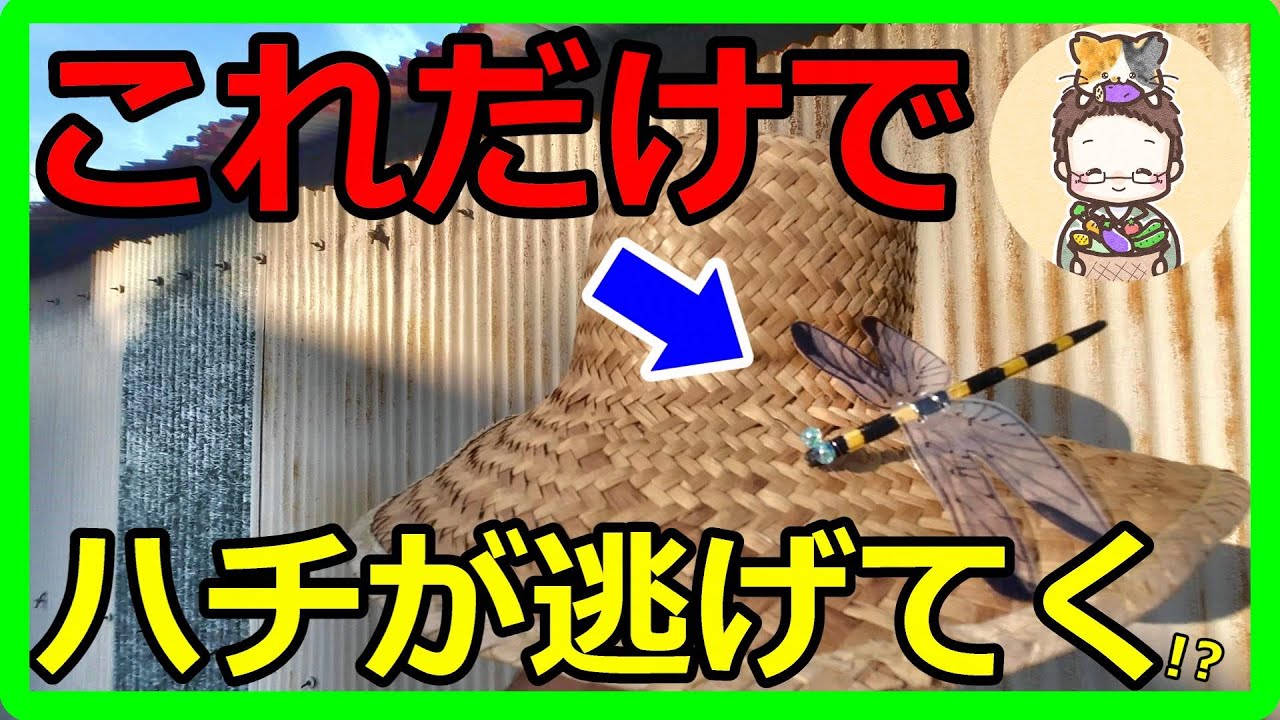 100均グッズで簡単DIY！噂の虫よけ「おにやんま君」の自作に挑戦しよう！ハチ・アブなどの危険害虫対策！