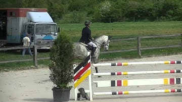 Dante, cyclus 6j basecles