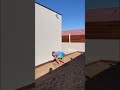 Palm flip raté 🔥🔥