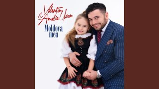 Video thumbnail of "Valentin Uzun - Moldova Mea"