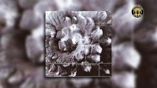 Lack of Faith - Act of Perfection