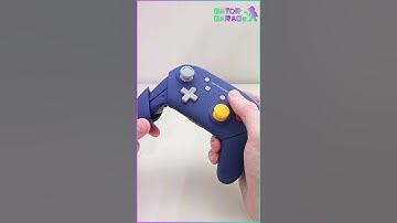 Building a CUSTOM GameCube Switch Pro Controller!