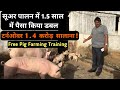 Pig Farming की पूरी जानकारी | सूअर पालन के बारे में जानकारी | How To Start Pig Farming