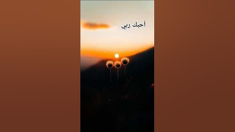 #تلاوة_خاشعة #تلاوة_هادئة #إسلام_صبحي #اسلام_صبحي #خواتيم_سورة_المؤمنون #سورة_المؤمنون #قرآن_كريم #