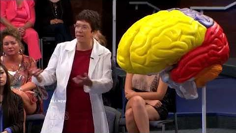 How The Brain Processes Music