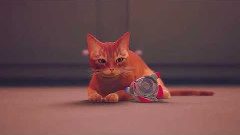 Stray | Felt Like Home [Edit/Tribute]