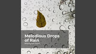 Rhythmic Rain Dribbles