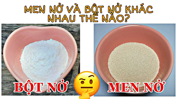 Top 16 cách làm bột nở