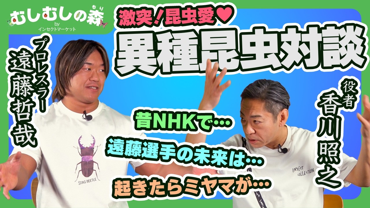 【昆虫】プロレスラー遠藤哲哉 VS カァーブル先生 異種昆虫対談【むしむしの森】香川照之・カァーブル先生・昆虫採集・自由研究・知育・教育・生き物・カブトムシ・クワガタ・カマキリ・バッタ・昆虫ブリーダー