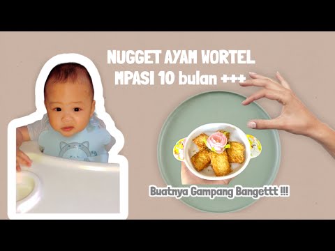Resep Nugget Ayam Mpasi 10 Bulan