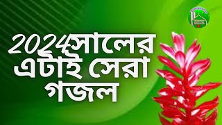 2024 সালের সেরা গজল _জীবনটা বিলিয়ে দিতে চাও _ইসলামের আলো