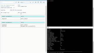 Producing a message SAP to KAFKA using Java Connector