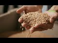Ignition Seeds – Honoring Punjab’s Outstanding Farmer! 🌾