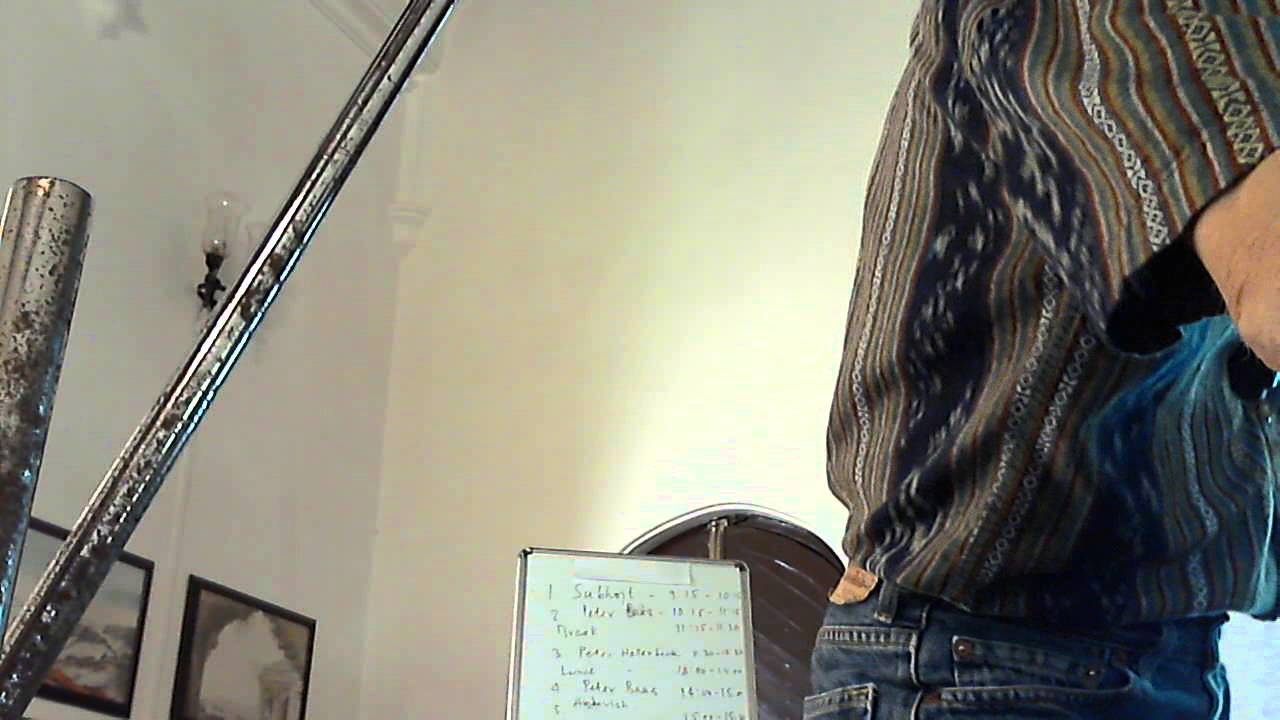 peter hollenbeck (3-2) - Location and Organization of Features ofthe Mitochondrial