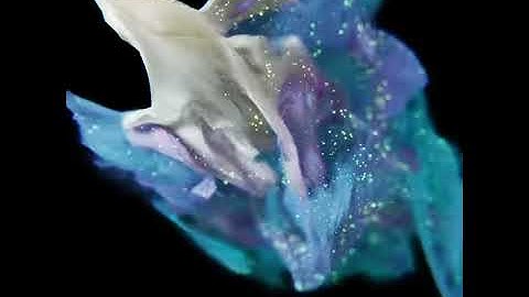 Unity | VFX Graph - Particle Strips