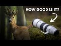 Das Objektiv Ihrer WILDLIFE-Träume – Sony FE 200-600 G OSS Langzeittest